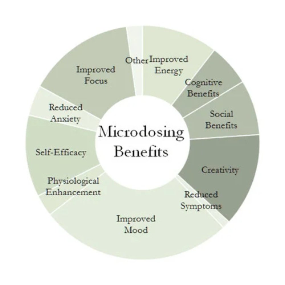 Micro Dosing - Picture 7 of 9